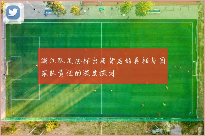 浙江队足协杯出局背后的真相与国家队责任的深度探讨