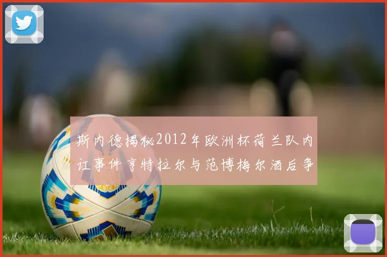 斯内德揭秘2012年欧洲杯荷兰队内讧事件亨特拉尔与范博梅尔酒后争执内幕