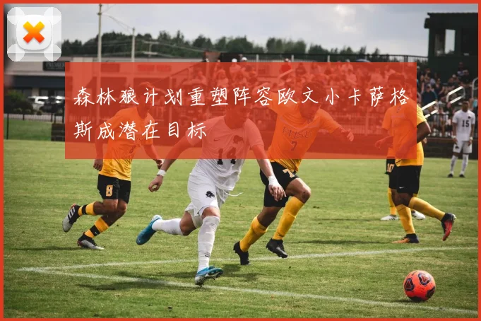 森林狼计划重塑阵容欧文小卡萨格斯成潜在目标